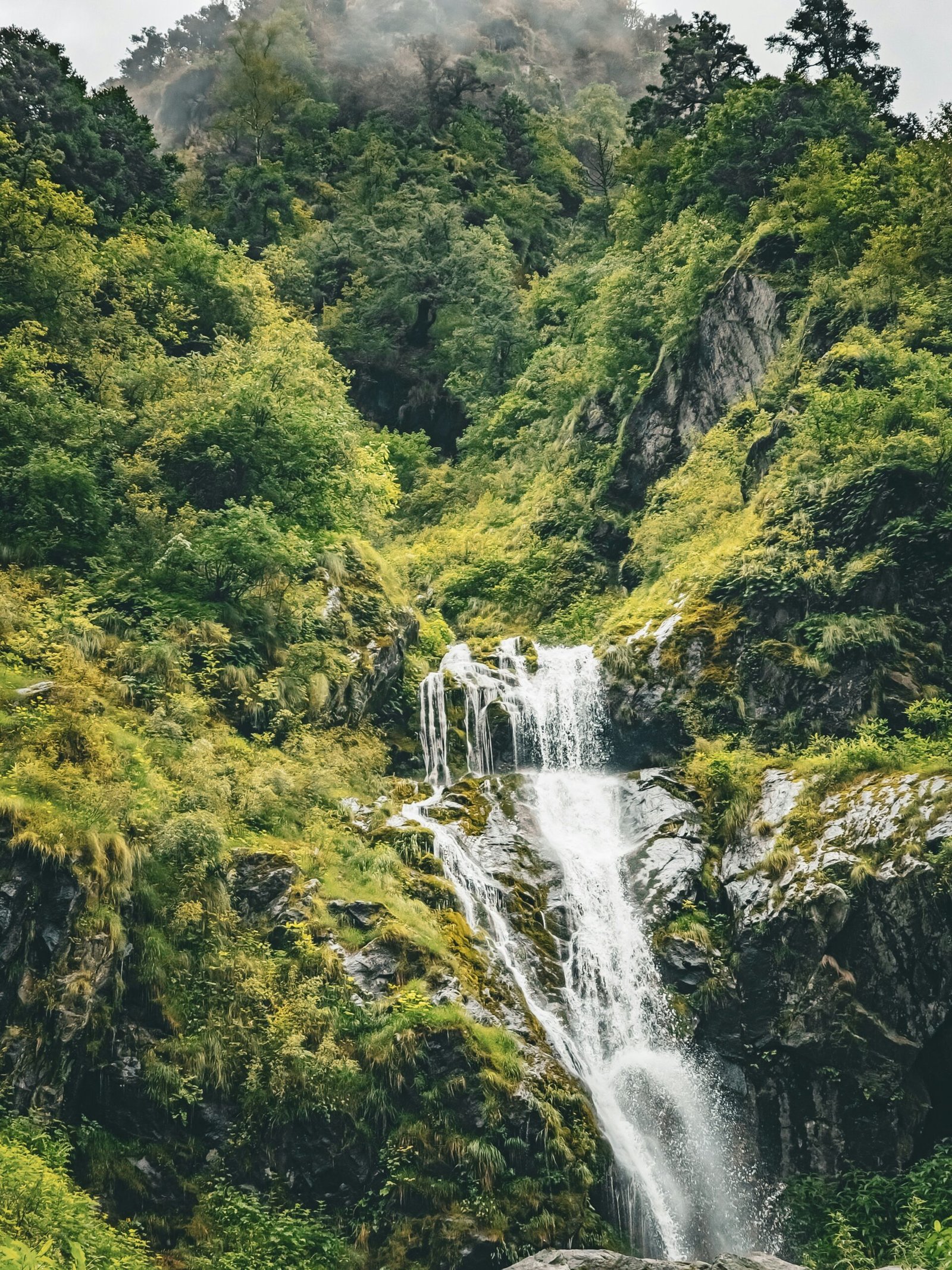 a waterfall in the middle of a lush green forest